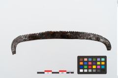Foto von Eisenraspel (NHMW-PRAE-024445)